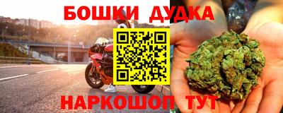 сатива Кандалакша