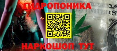 сатива Кандалакша