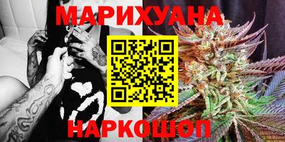 сатива Кандалакша