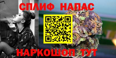 сатива Кандалакша