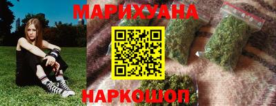 сатива Кандалакша