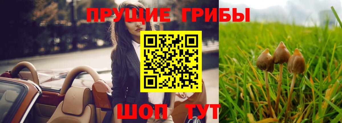 Псилоцибиновые грибы прущие грибы Дятьково
