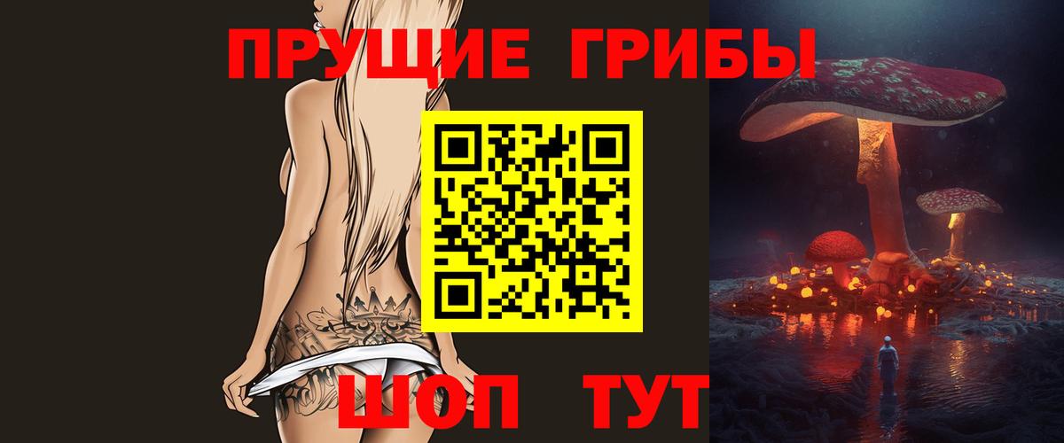 Псилоцибиновые грибы Cubensis  Вход с VPN  Дятьково 